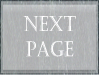 Next Page