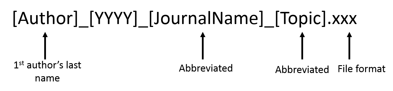 Image of a file naming convention. From left to right, author's last name, four digit year, journal name and topic separated by underscores.